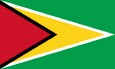 Gujana Flaga państwowa